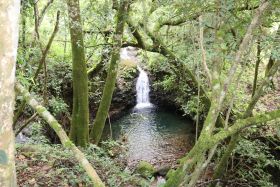 Waterfall seen from the gated community of  Los Molinos, Boquete, Panama – Best Places In The World To Retire – International Living